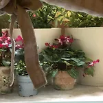 Appartamento Dimora Gatto *