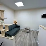 Dimora Gatto