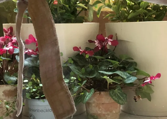 Apartman Dimora Gatto *